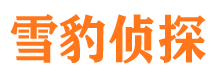 临沂市婚姻出轨调查